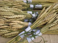 several bundles of wheat sitting next to each other on top of a cloth covered table