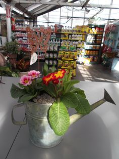 a watering can filled with flowers on top of a white table in a market area