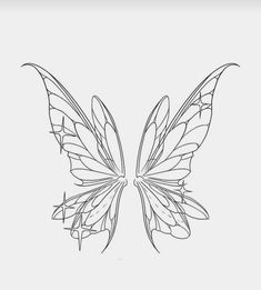 the outline of a butterfly's wings