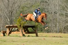 a person on a horse jumping over a wooden bench in the middle of a field