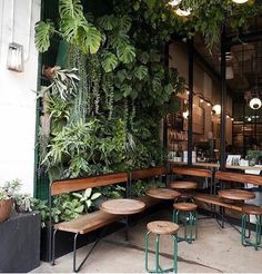 an outdoor seating area with wooden benches and plants on the wall