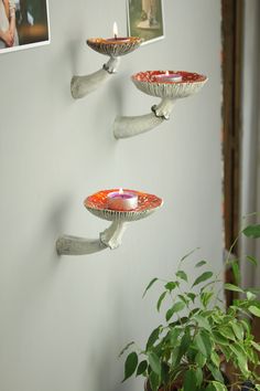 three candles are placed on the wall above plates