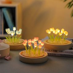 three wooden vases with flowers in them sitting on a table next to some books