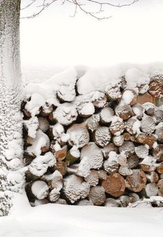 a pile of logs sitting next to a tree covered in snow