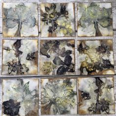 six square pictures with flowers and leaves on them, all in different shades of brown