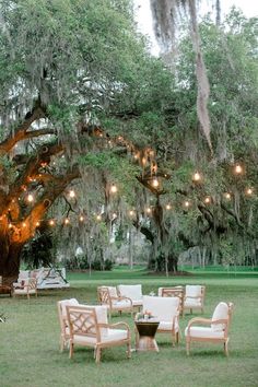 an outdoor seating area with chairs and tables under a large tree covered in hanging lights