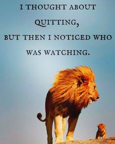 a lion standing on top of a dirt hill next to a small animal with a caption that reads i thought about quiting, but then i noticed who was watching