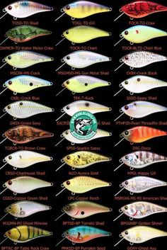 different types of fishing lures