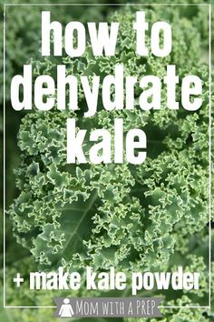 the words how to dehydraate kale and make kale powder