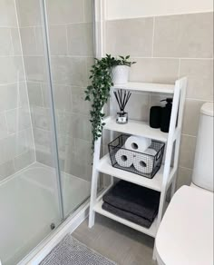 a bathroom with a toilet, shower and shelf