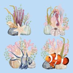 four different types of sea life with corals and other marine creatures in them on a blue background