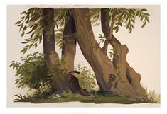 an image of a painting of a bird in the woods with trees and plants around it