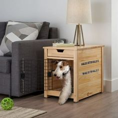 a dog in a crate on the floor next to a couch and table with a lamp