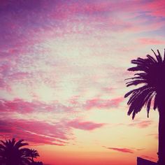 a palm tree is silhouetted against an orange and pink sky with clouds in the background