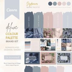 an assortment of color palettes for the brand