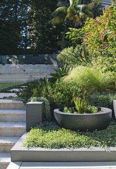 an outdoor garden with plants and steps