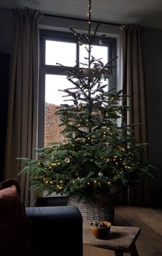 a small christmas tree in a living room next to a window with lights on it