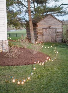 some lights that are sitting in the grass near a tree and house with a shed behind them