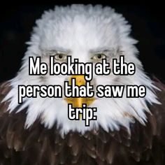 an eagle with the words me looking at the person that saw me trip