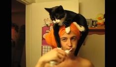 a man brushing his teeth while wearing an orange hat with a cat on top of it