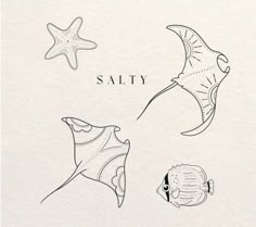 some sea animals and starfish are depicted in this hand - drawn illustration from the book salty