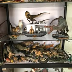 a display case filled with lots of different types of toy dinosaurs and figurines