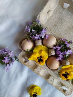 eggs and pansies in an egg carton on a bed