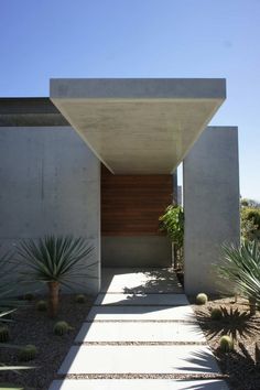 an entrance to a modern home with cactus and cacti