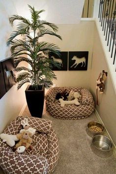 two dogs in their beds on the floor next to a potted plant and dog toys