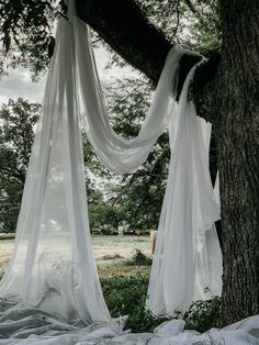 a white drape hanging from a tree in the woods with grass and trees around it