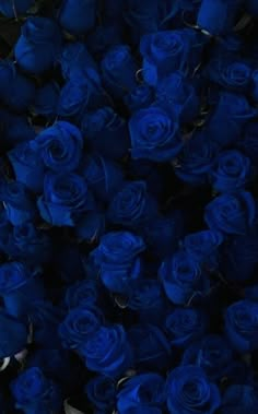 a bunch of blue roses that are very close together