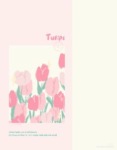 pink tulips on a white background with the words tulips above them