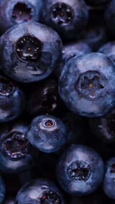 closeup of blueberries that are ready to be eaten