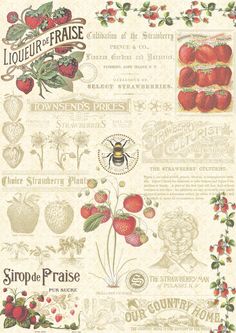 an old fashioned poster with strawberries and strawberrys on it