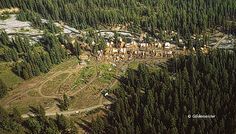 an aerial view of a forest with lots of trees and buildings in the middle of it