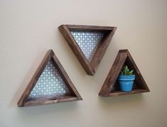 three wooden triangle shelves with plants in them on the wall next to a potted plant