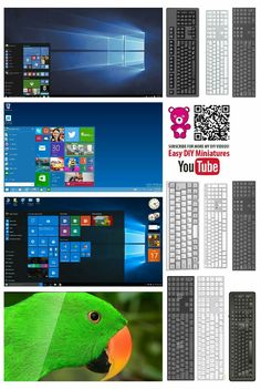 there are many different images of windows on this page, including the parrot and the keyboard