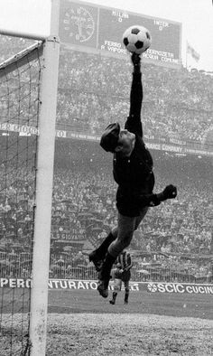 a man jumping up to catch a soccer ball in front of an audience at a sporting event