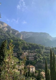 the mountains are covered with trees and houses