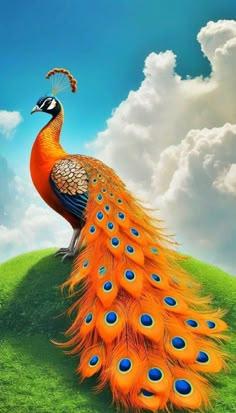 a painting of a peacock standing on top of a green hill