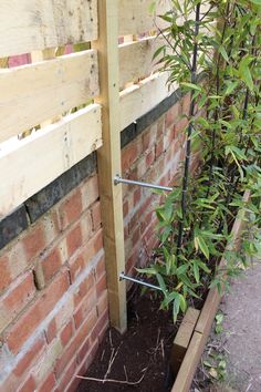 a small tree growing out of the ground next to a brick wall and planter