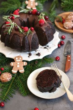 a chocolate bundt cake with christmas decorations on it