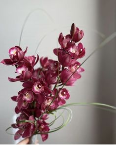 a person holding a vase with purple flowers in it