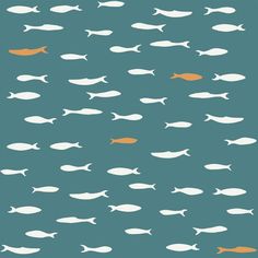 an image of many fish swimming in the water with orange and white stripes on them