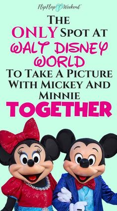 two mickey and minnie mouses with the words, only spot at walt world to take a picture with mickey and minnie together