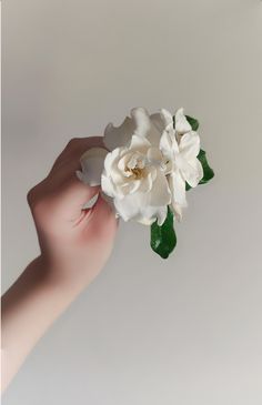 a person holding a white flower in their hand