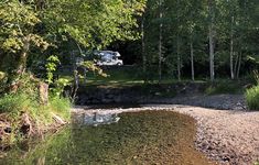 a truck parked on the side of a river next to a forest filled with trees