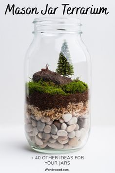 a glass jar filled with rocks and plants in the shape of a deer on top of a hill