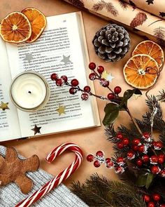 an open book surrounded by christmas decorations and candy canes, orange slices, pine cones, cinnamon sticks, holly berries, and a candle