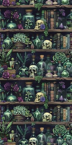 a shelf filled with lots of different types of vases and skulls on top of books